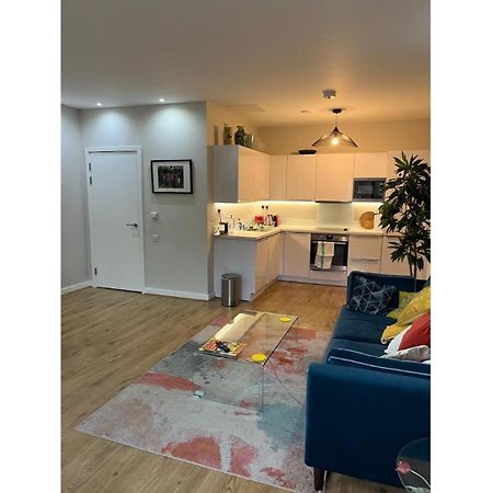 Fantastic Modern 2 Bedroom Flat In Lambeth London Luaran gambar